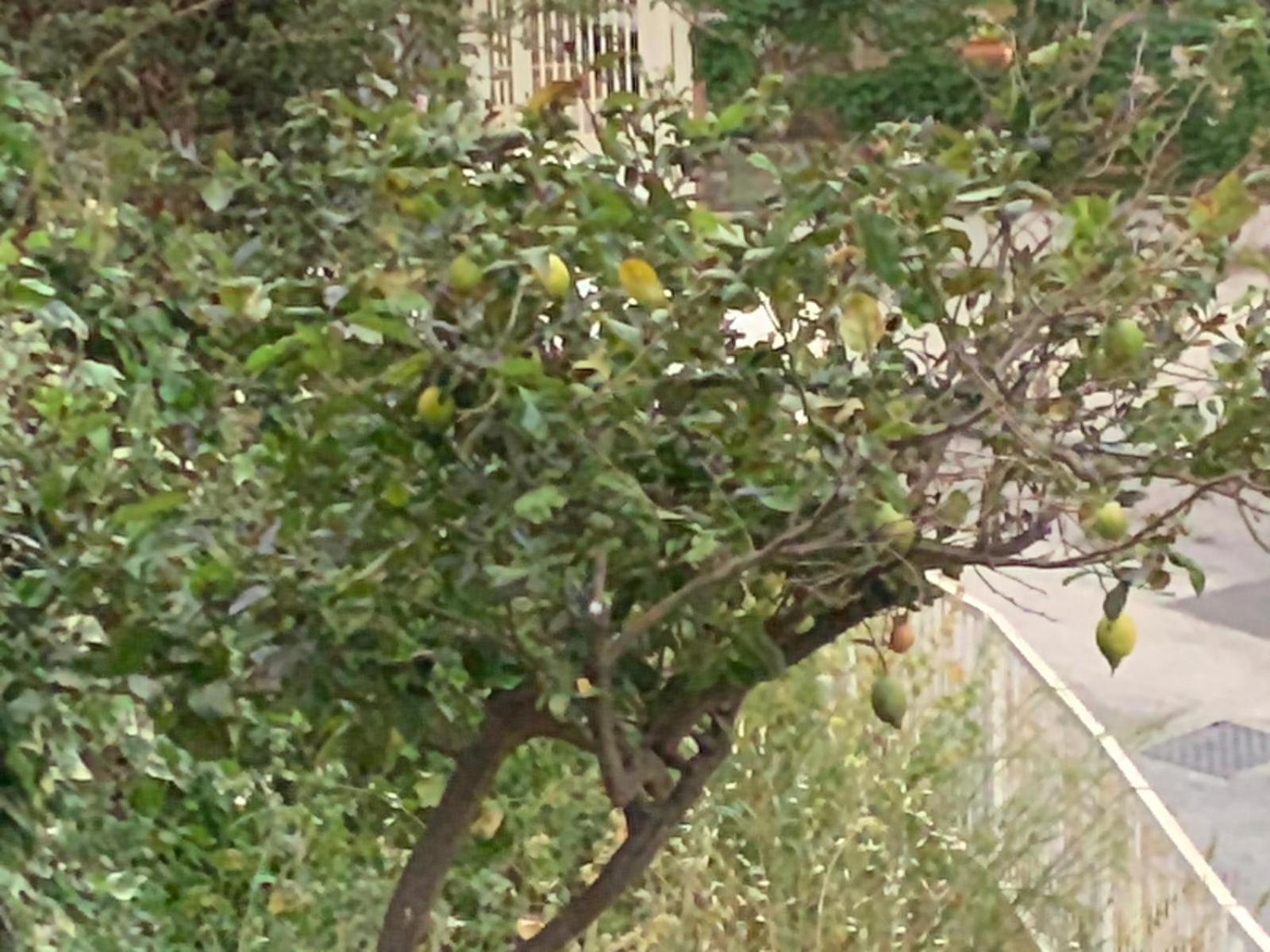 Appartamento Casa Del Mister Agrigento Esterno foto